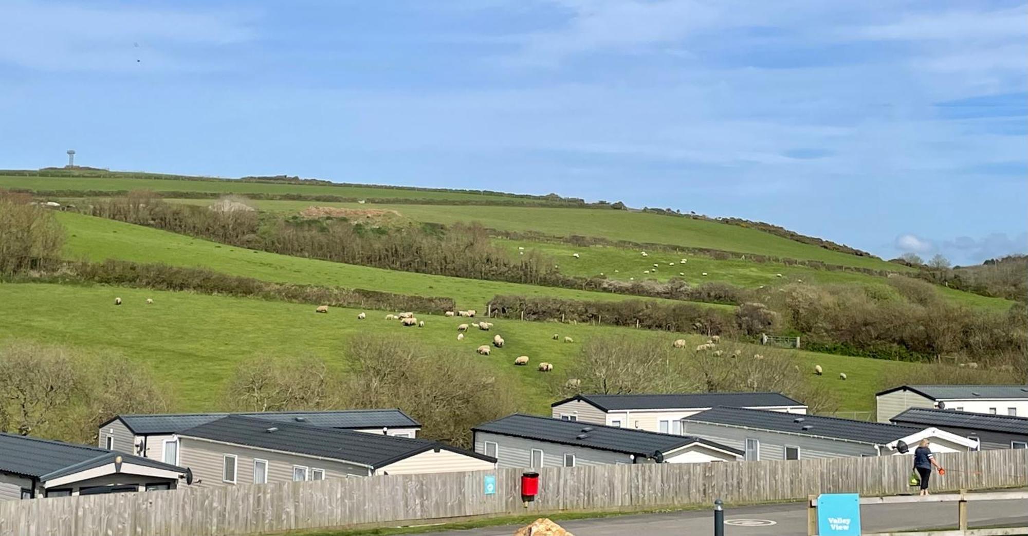 Newquay Bay Resort Sandy Toes - Pet Friendly Экстерьер фото